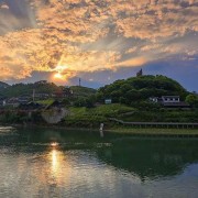 西寧鳳翔苗木公司